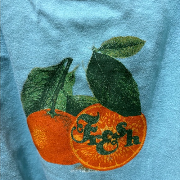 tank top, urban outfitters , blue, fresh oranges , women’s large , BNWT - Picture 2 of 4